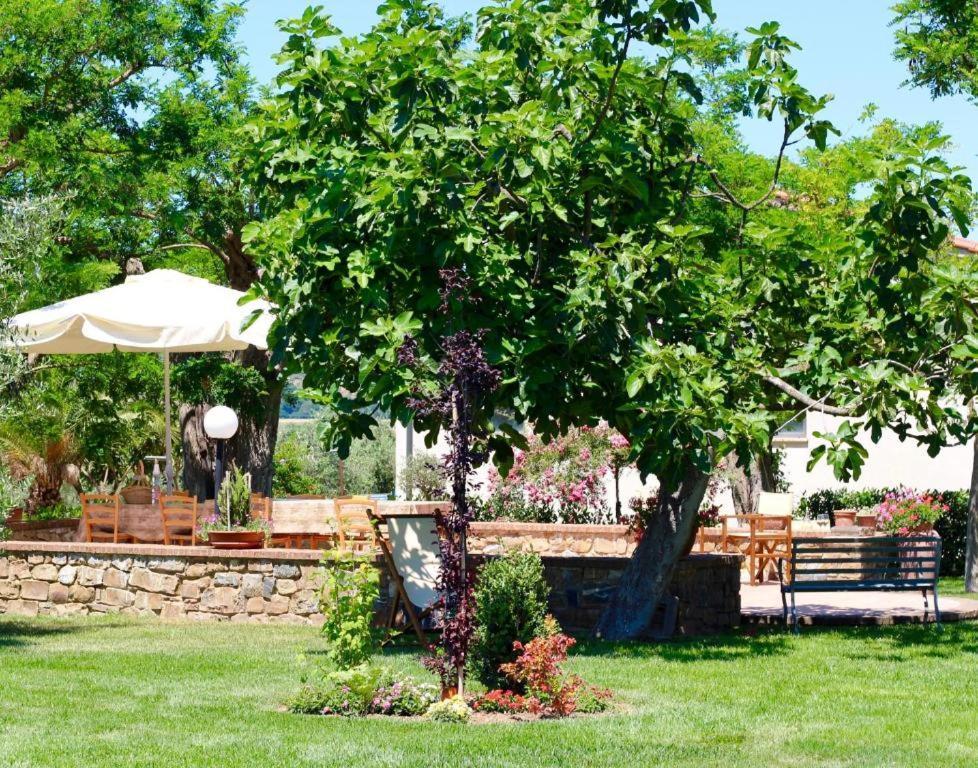 Agriturismo Vecchio Imposto Villa มัสซามาริตติมา ภายนอก รูปภาพ